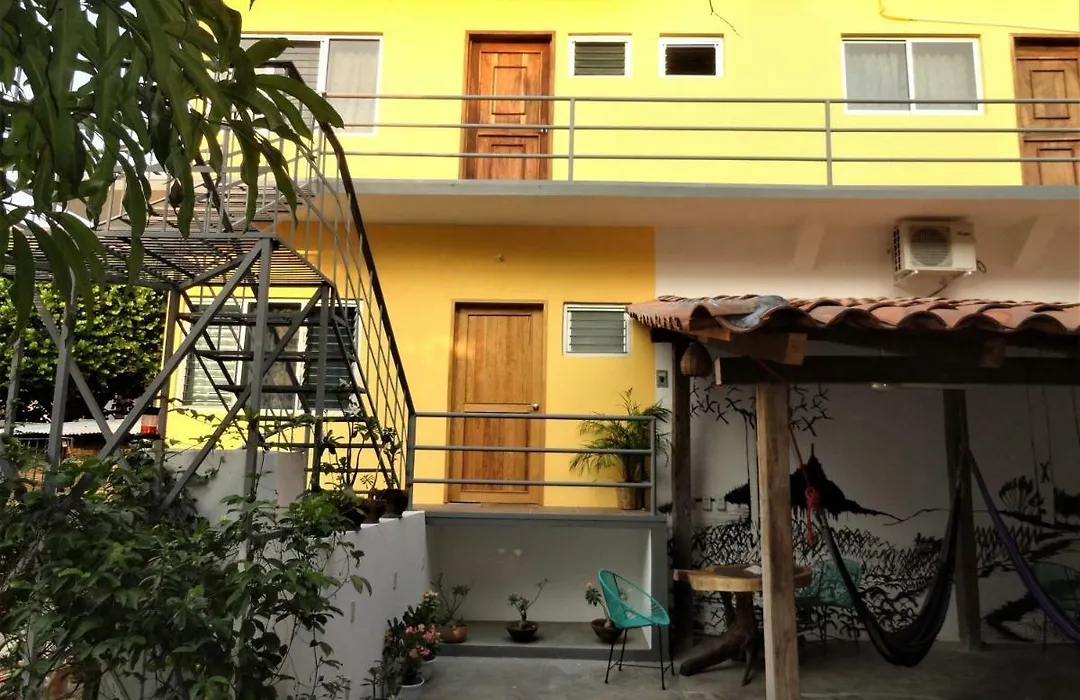 Paziflora Hostel -Starlink--1